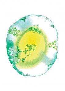 Burbujas de fluidos orgánicos de Amy Louise Baker