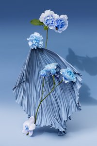 Ikebana 03, 2018 (fotografía) de Ana Carolina Tavares Mizrahi