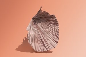 Ikebana 07, 2018 (fotografía) de Ana Carolina Tavares Mizrahi