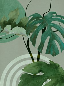 Quedan más de 12 ejemplares