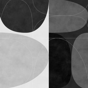 Copia de Shapesbw2 de Ana Rut Bre