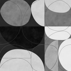 Copia de Shapesbw3 de Ana Rut Bre