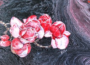 Rosas rojas espectaculares de Anda Bieza