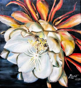 Flor de la Reina de la Noche