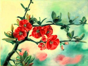 Flores rojas de primavera