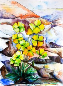 Flores de montaña de vivos colores de Anda Bieza