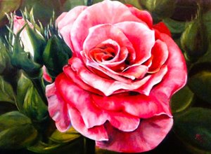 Una rosa de color rosa intenso en plena floración de Anda Bieza