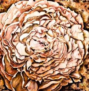 Cálida flor de peonía de Anda Bieza