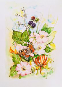 Jardín de mariposas y flores silvestres