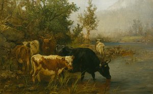 vacas junto al agua