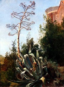 Paisaje; sur de Italia de Anders Christian Lunde