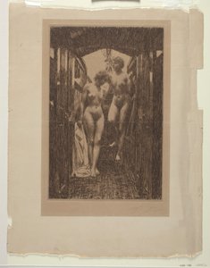 El Cubículo de Anders Leonard Zorn