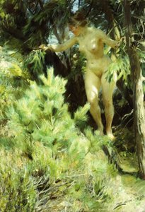 Duende del bosque
