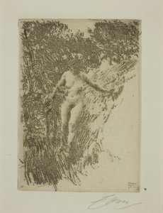 Leña de Anders Leonard Zorn