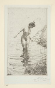 Cercles d de Anders Leonard Zorn