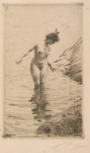 Círculos de agua II de Anders Leonard Zorn