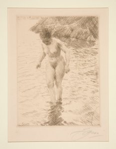 dolares de Anders Leonard Zorn