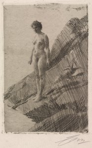 Edö de Anders Leonard Zorn