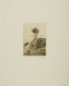 Corona de algas marinas (Hårtång) de Anders Leonard Zorn