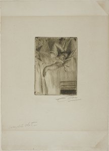 El Despertar de Anders Leonard Zorn
