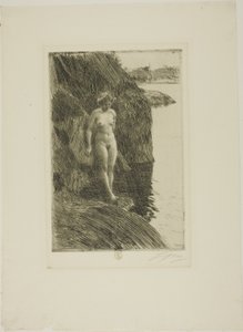 Precipicio de Anders Leonard Zorn