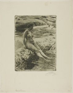 Sandhamn de Anders Leonard Zorn