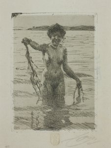 Algas de Anders Leonard Zorn