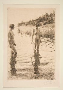 Poco profundo de Anders Leonard Zorn