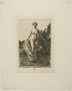 Verano de Anders Leonard Zorn