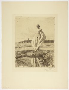 El cisne