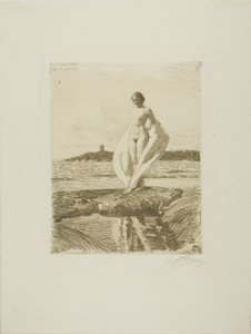 El Cisne