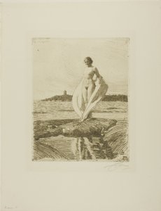El Cisne de Anders Leonard Zorn