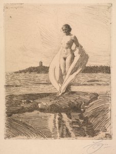 El cisne de Anders Leonard Zorn