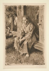 con proteina de Anders Leonard Zorn