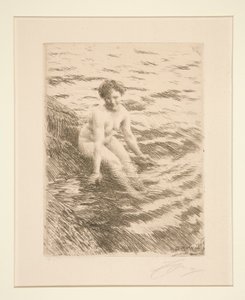 Mojada de Anders Leonard Zorn