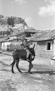 CROTONE - JOVEN ARRIERO