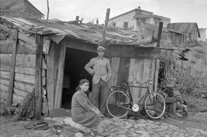 HABITANTES DEL SLAM DE CROTONE