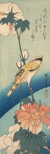 Un oropéndola de nuca negra en un tallo de malva rosa, ca. 1834 de Ando Hiroshige