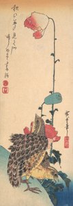 Un Par de Codornices y Amapolas de Ando Hiroshige