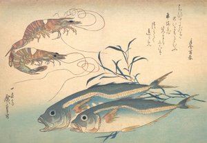 Pez Aji y Kuruma-ebi, de la serie Uozukushi Cada variedad de pez