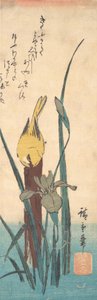 Pájaro e iris de Ando Hiroshige