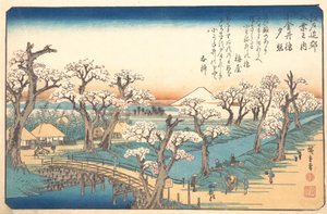 Brillo de la tarde en la frontera de Koganei de Ando Hiroshige