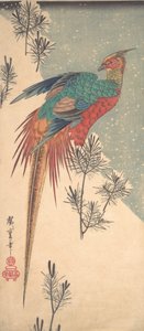 Faisán dorado y brotes de pino en la nieve, ca. 1835 de Ando Hiroshige