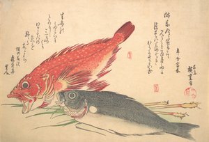 Isaki y Kasago Fish, de la serie Uozukushi Every Variety of Fish, 1830s