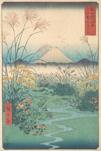 Kai, Otsuki no Hara, año del caballo, cuarto mes de 1858 de Ando Hiroshige