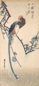 Ave de cola larga de Ando Hiroshige