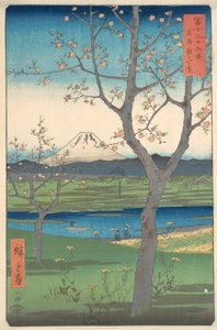 Musashi, Koshigaya Zai, cuarto mes del año del caballo 1858