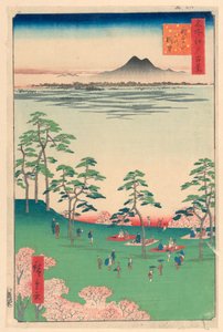 Vista hacia el norte desde la colina Askua (Askua-yama Kita no Chobo) de la serie Cien vistas famosas de Edo
