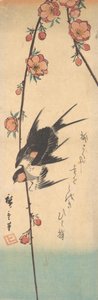 Flores de peral y golondrinas, ca. 1840 de Ando Hiroshige