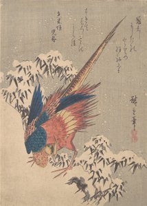 Faisán entre bambú cargado de nieve en la ladera, ca. 1840